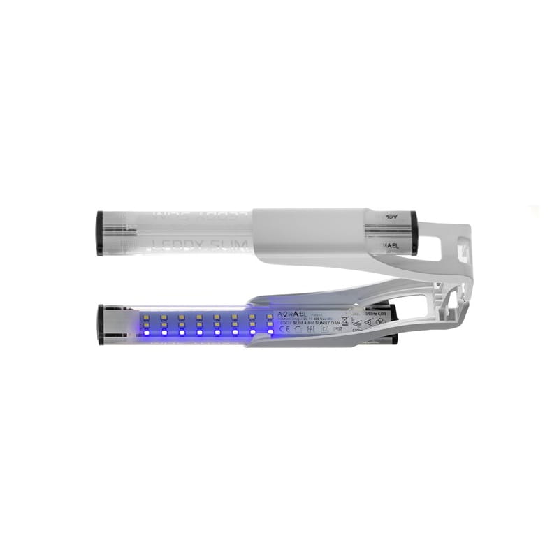 leddy slim dn2.jpg